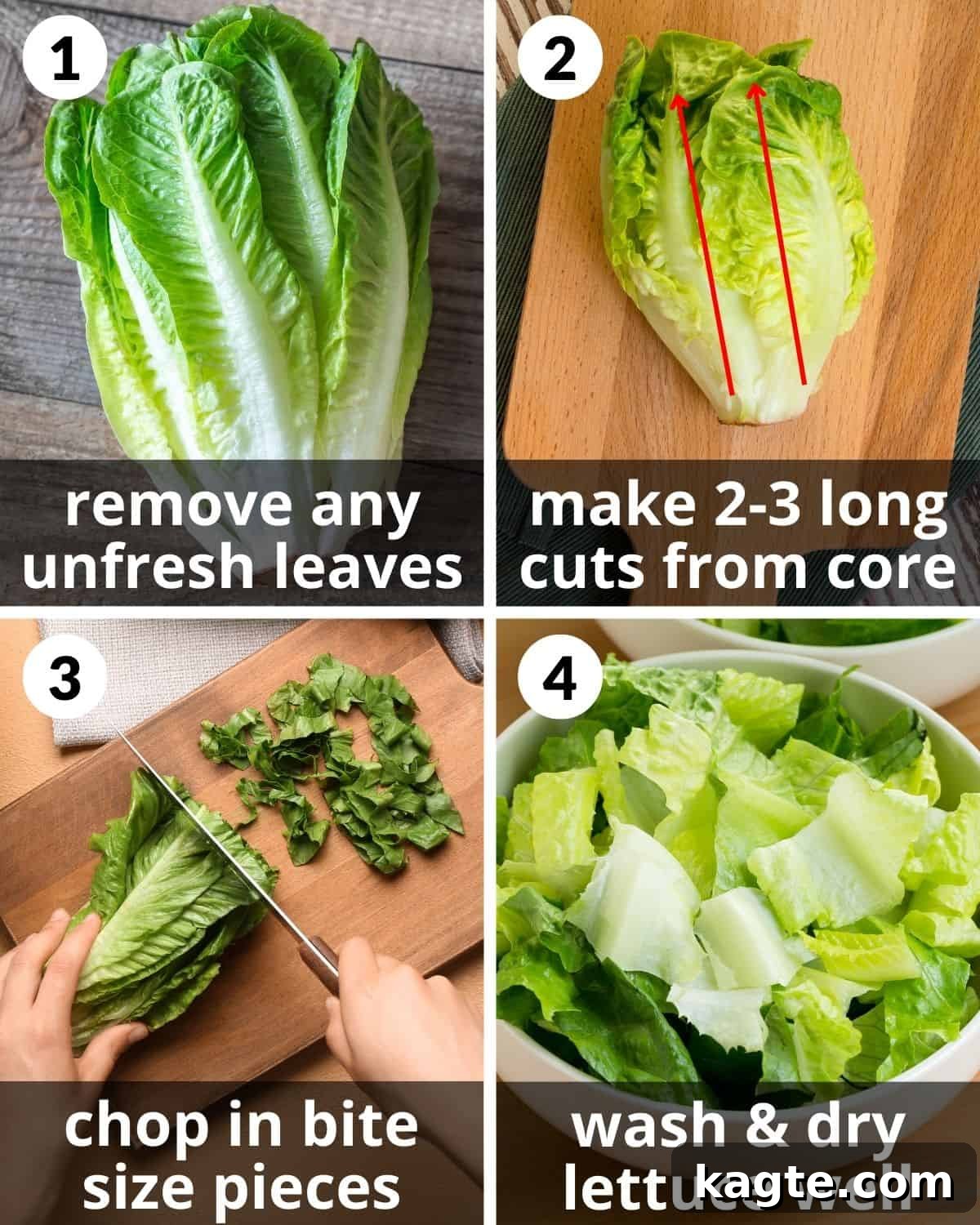 A four-photo collage illustrating the step-by-step process of cutting romaine lettuce, from whole head to chopped pieces.