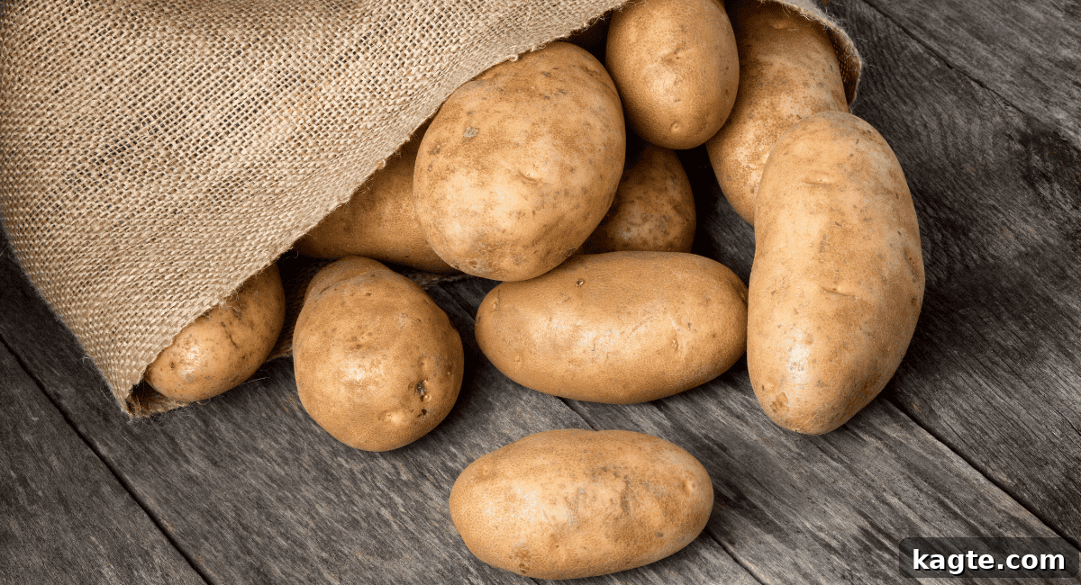 Build Your Own Baked Potato Bar 5 A burlap sack filled with fresh, unwashed russet potatoes, ready for baking. The potatoes are uniform in size.