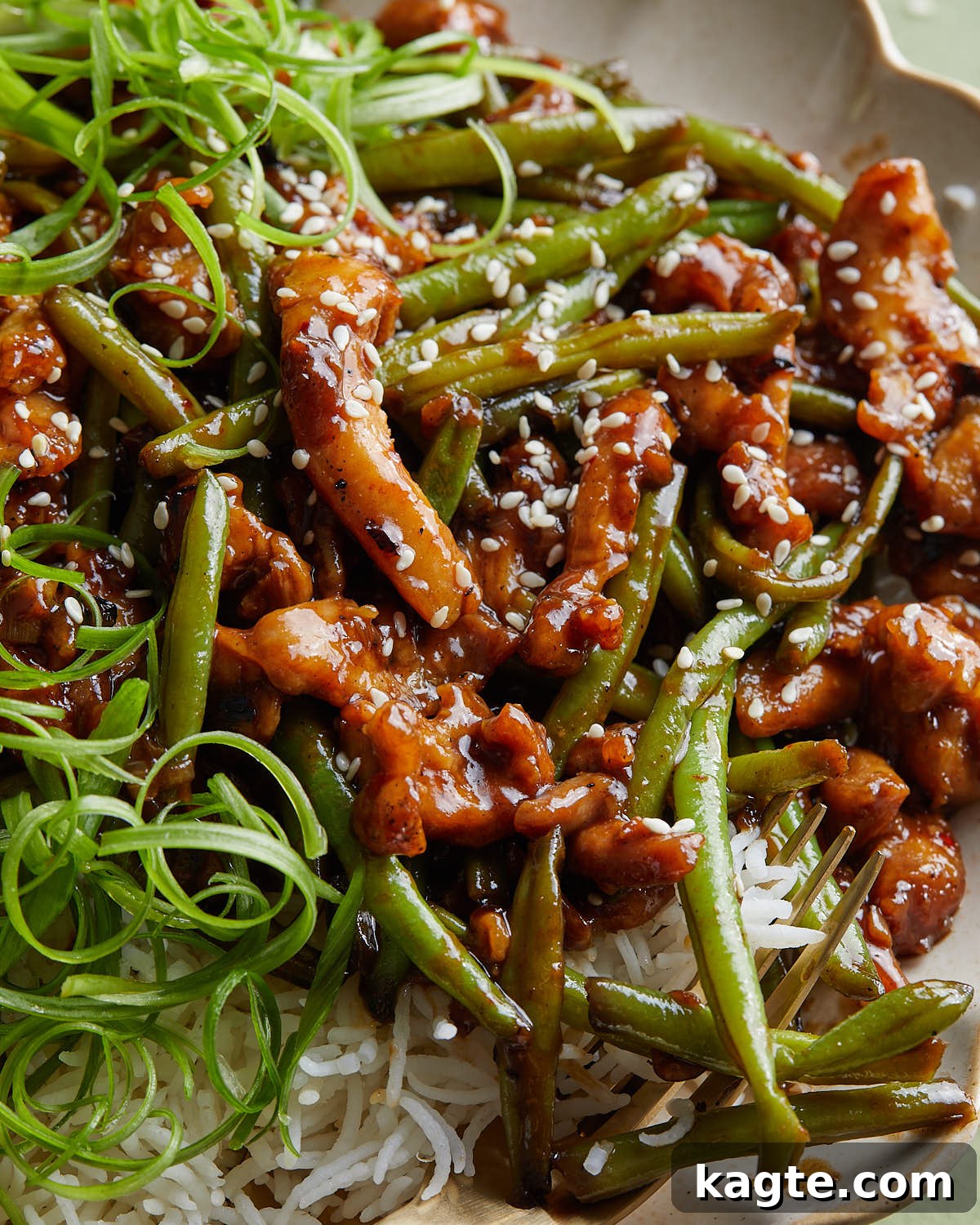 Up close image of green bean chicken stir fry with garnish.