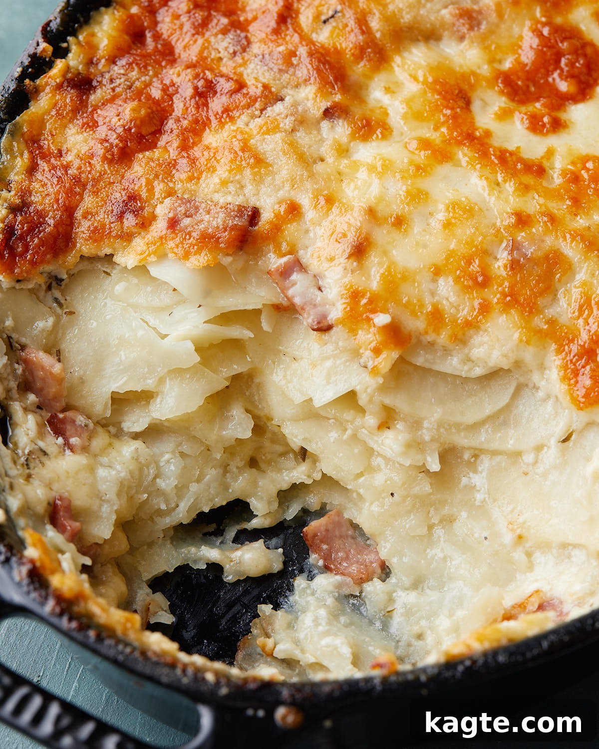 Up close image of au gratin potatoes with ham. 