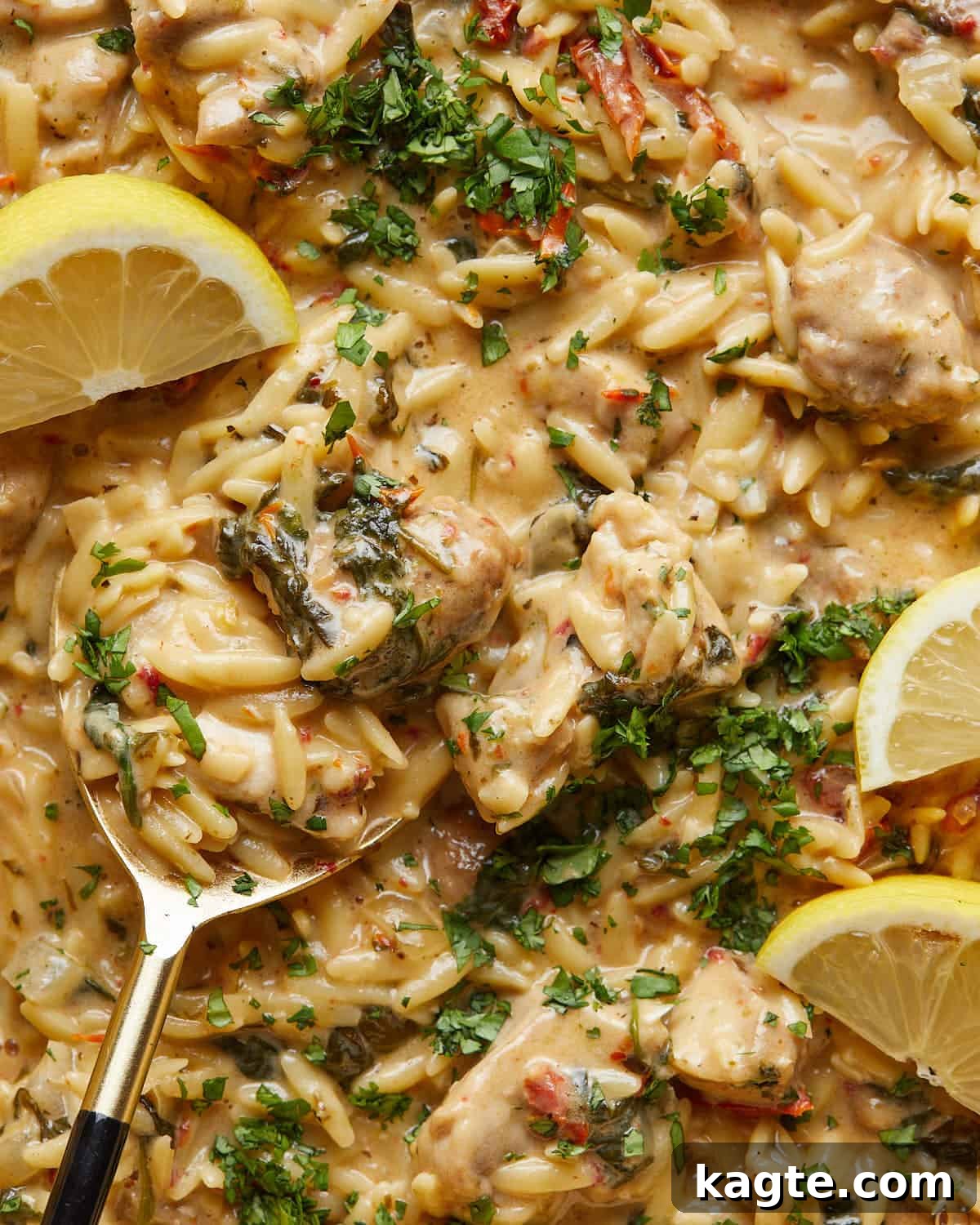 Creamy Tuscan Chicken Orzo Casserole 5 Up close overhead image of creamy chicken and orzo bake garnished with fresh herbs in a white baking dish.