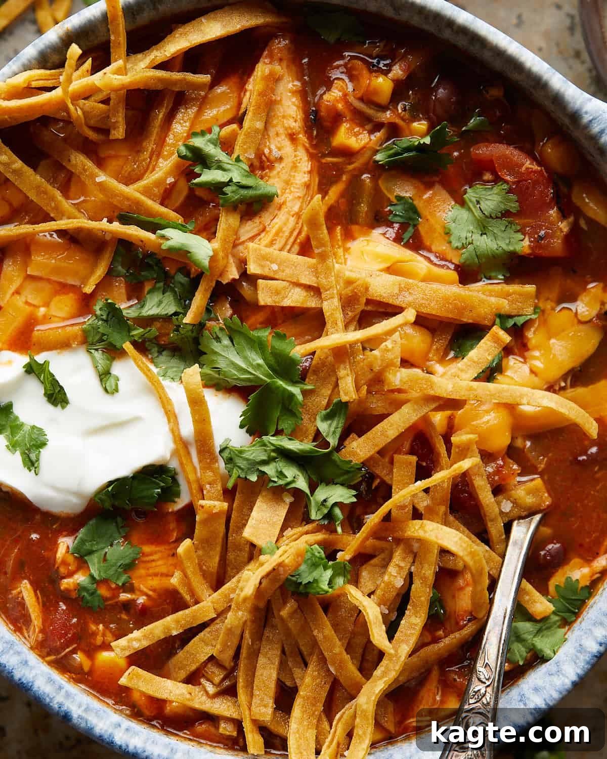 Effortless Rotisserie Chicken Tortilla Soup 5 Overhead close-up image of chicken tortilla soup with crispy tortilla strips, avocado slices, and fresh cilantro garnish.