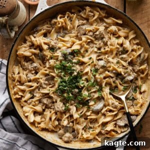 Ground Beef Stroganoff ready to serve.
