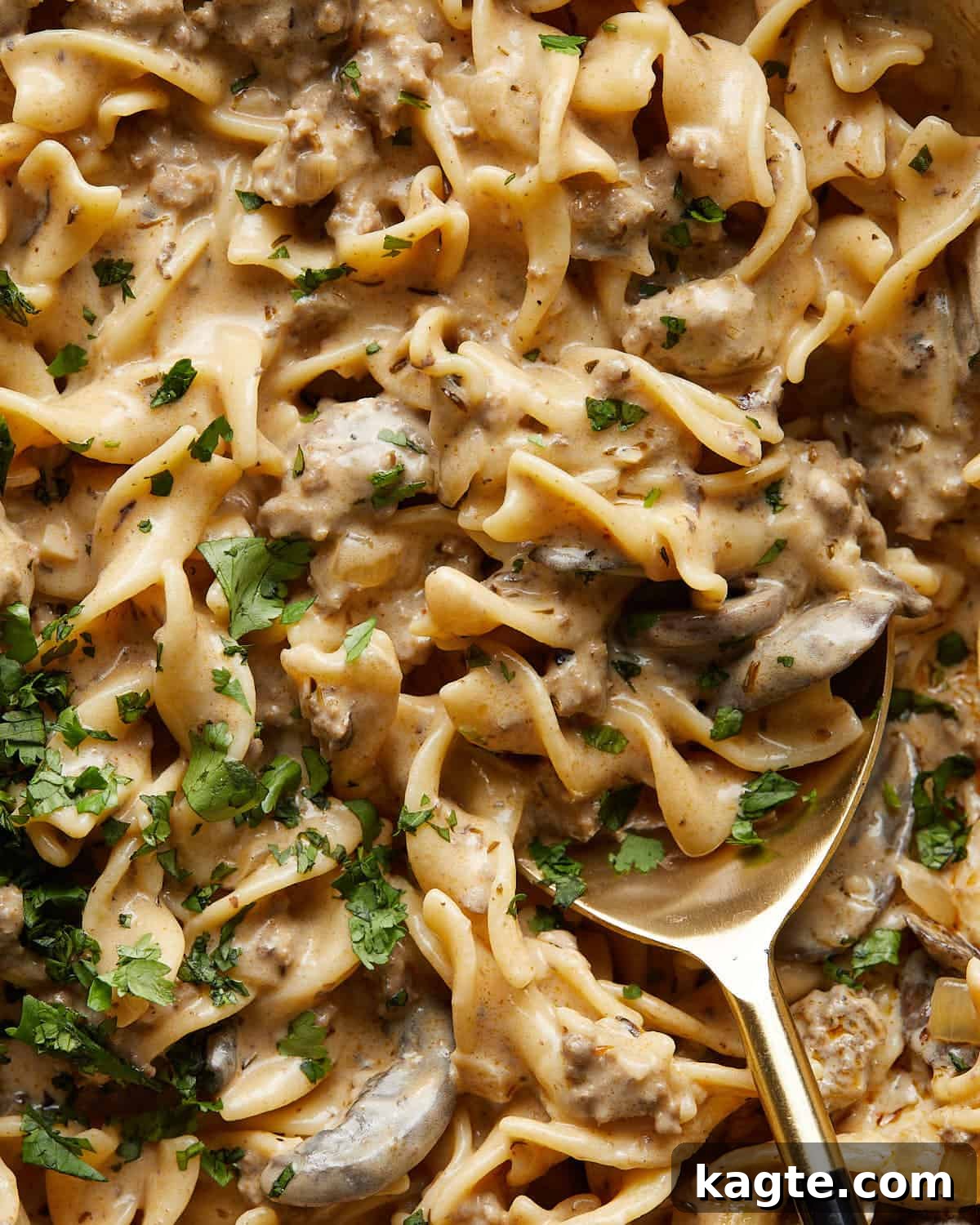 Up close image of beef stroganoff with ground beef and garnish. 