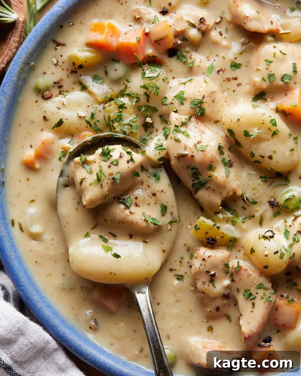Overhead up close image of chicken and dumplings with gnocchi.