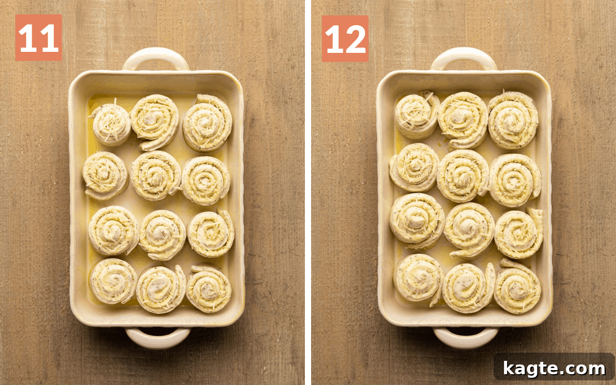 Cheesy Garlic Herb Swirl Rolls 11 Two images side by side. Left shows rolled dough pieces arranged in a baking dish before the second rise. Right shows the rolls after the second rise, slightly puffed up.