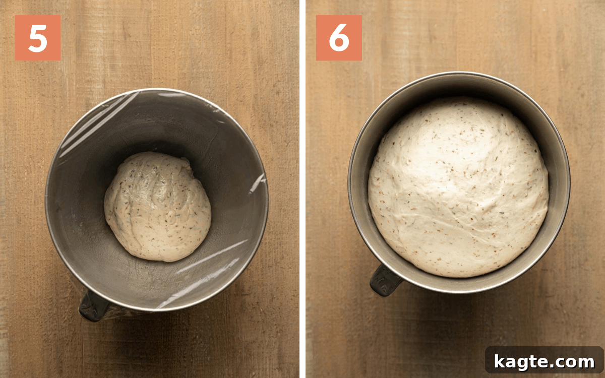 Cheesy Garlic Herb Swirl Rolls 8 Two images side by side. Left shows dough in a greased bowl before the first rise. Right shows dough after rising, doubled in size and filling the bowl.