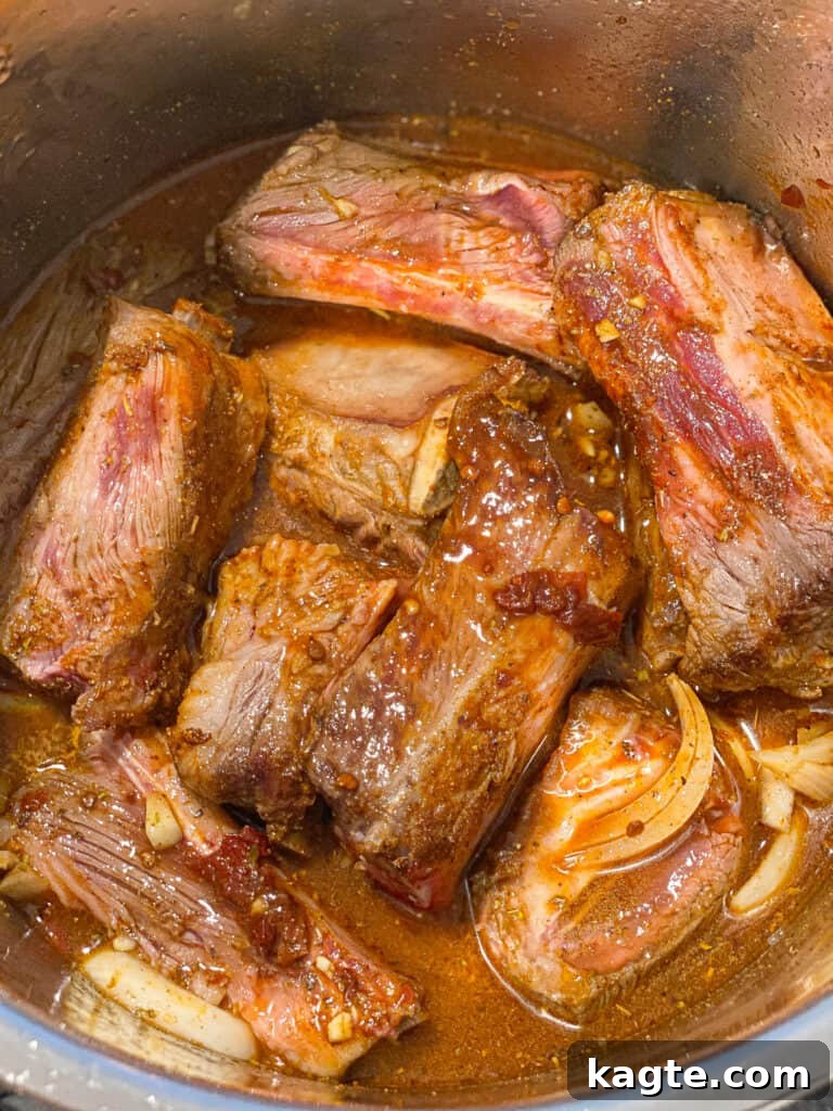 Fall-Apart Tender Instant Pot Barbacoa Tacos 5 Chipotle peppers in adobo sauce.