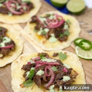 A serving of Instant Pot Beef Short Rib Barbacoa, ready to be enjoyed.